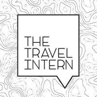 the travel intern logo image