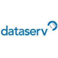 dataserv group logo image