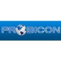 probicon (professional business consulting) logo image