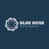 blue nose aerial imaging of trinidad logo image