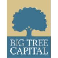 big tree capital llc logo image