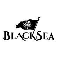 blacksea technologies logo image