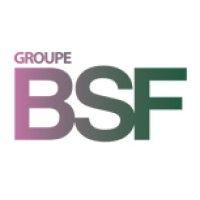 groupe bsf logo image