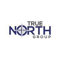 true north group logo image