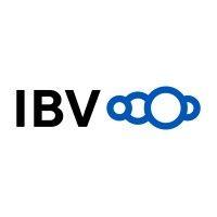 ibvcloud oü logo image