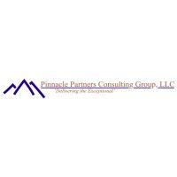 pinnacle partners consulting group / ppcg logo image