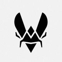 team vitality logo image