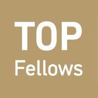 tu wien top fellows logo image