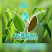 centro de investigación en ciencias y recursos geoagroambientales cenigaa logo image