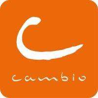 cambio brussels logo image