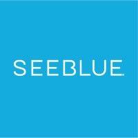 seeblue logo image