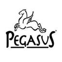 logo of Pegasus Foods Inc