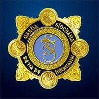 an garda síochána logo image