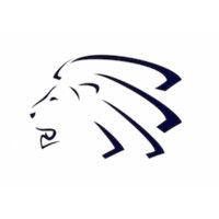 lions group logo image