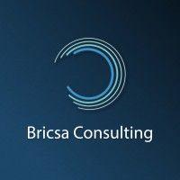 bricsa consulting logo image