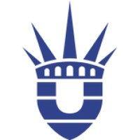 wisconsin international university (usa) ukraine logo image