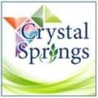 crystal springs, inc logo image