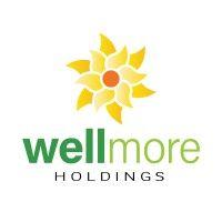 wellmore holdings logo image