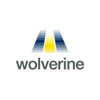 wolverine trading logo image