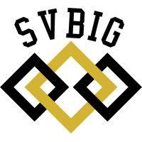 svbig logo image