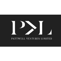 pattwell ventures logo image