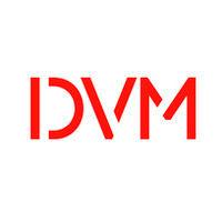 dvm global ltd