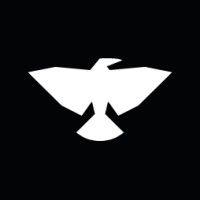 blackbird.ai logo image