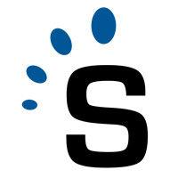 smarterservices logo image