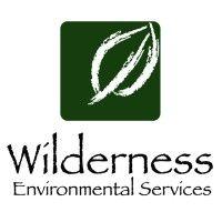 wilderness environmental services logo image