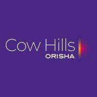 cow hills retail bv