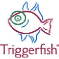 triggerfish marketing