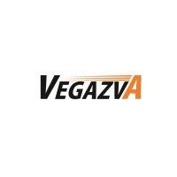 vegazva group logo image