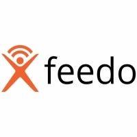 feedo - 360 feedback tool logo image