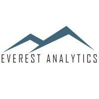 everest analytics logo image