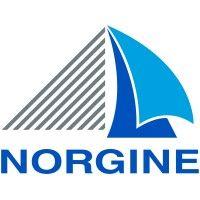 norgine uk & ireland logo image