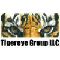 tigereye group logo image