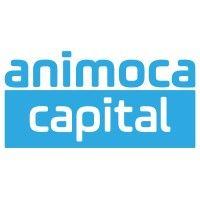 animoca capital logo image