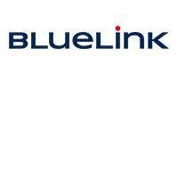 bluelink group logo image