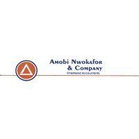 amobi nwokafor & company.. logo image