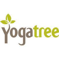 yoga tree studios logo image