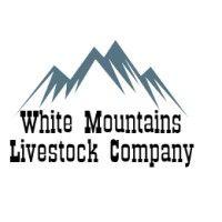 white mountains livestock company llc logo image