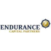 endurance capital partners logo image