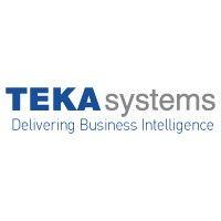 teka systems logo image