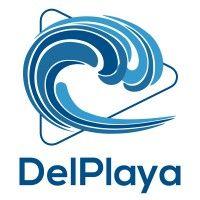 delplaya media, inc. logo image