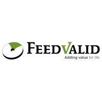 feedvalid logo image