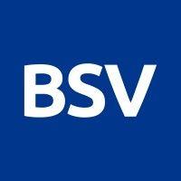 bsv blockchain logo image