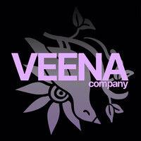 veena company logo image