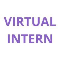 virtualintern.co.in logo image