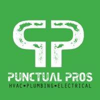 punctual pros logo image