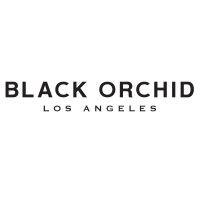 black orchid denim logo image